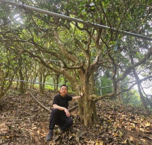 专访 | 让世界，看见茶：资深茶行业达人“茶人老武”王巍的二十余年探索